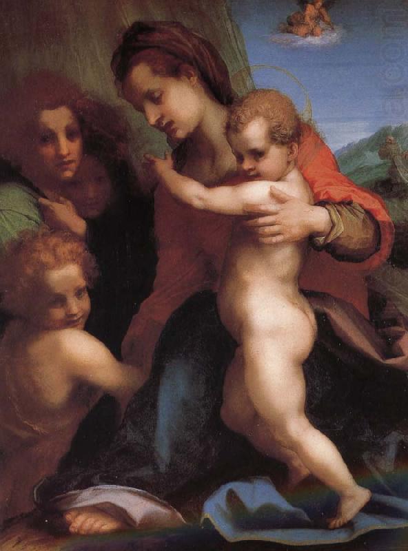 Andrea del Sarto The Virgin and Child with St. John childhood, as well as two angels oil painting picture